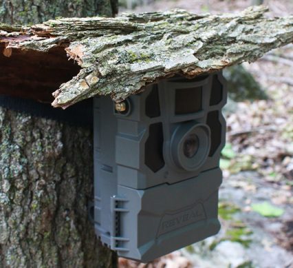 a trail camera covered in bark