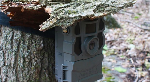 a trail camera covered in bark