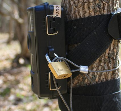a trail camera wrapped and locked with a padlock FEAT