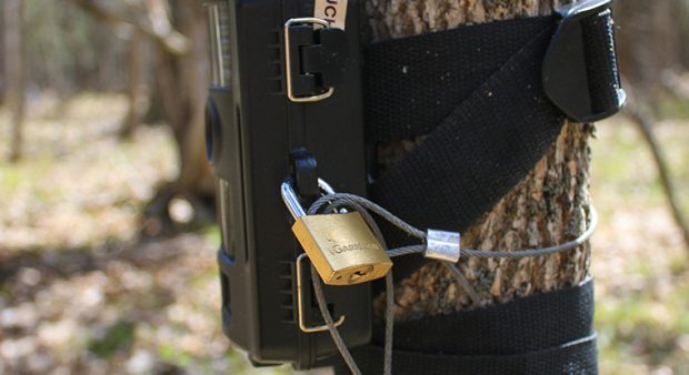 a trail camera wrapped and locked with a padlock FEAT