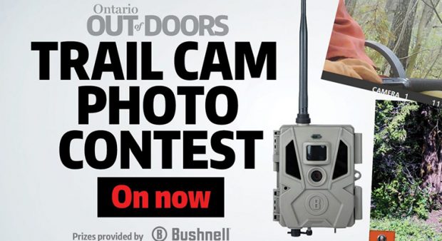 Trail camera contest 2022 760