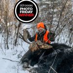 Photo Friday winner Chelsea Hansler of Mattawa had an incredible week in northern Ontario — where it was -35˚C — despite a blown transmission. Chelsea took this bull from a high point overlooking a crossing at 358 yards using her Tikka 25-06. What a hunt!