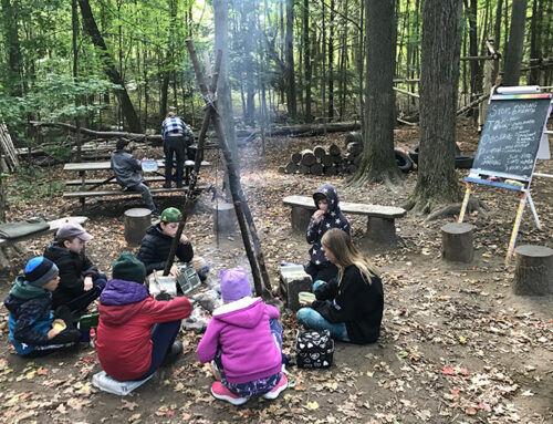 Forest school expands understanding of the outdoors