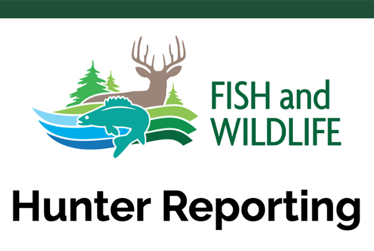 hunter report logo