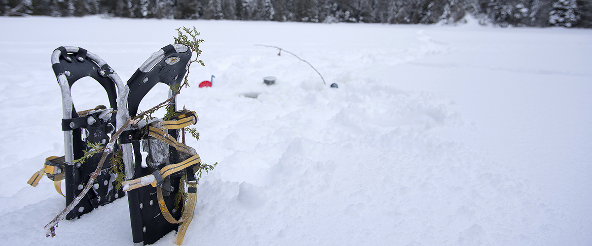 Snowshoes slider