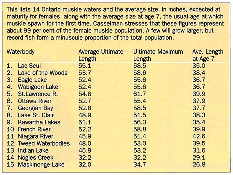 muskie table 