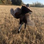 James Linton of Guelph submitted Jake’s tom turkey taken with a bow in the fall of 2022.