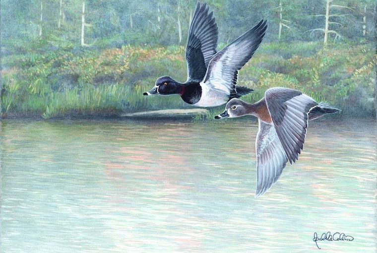 duck stamp