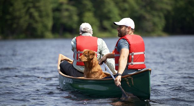 Two canoeists paddling, with a dog