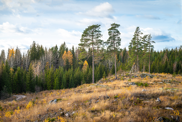 finland