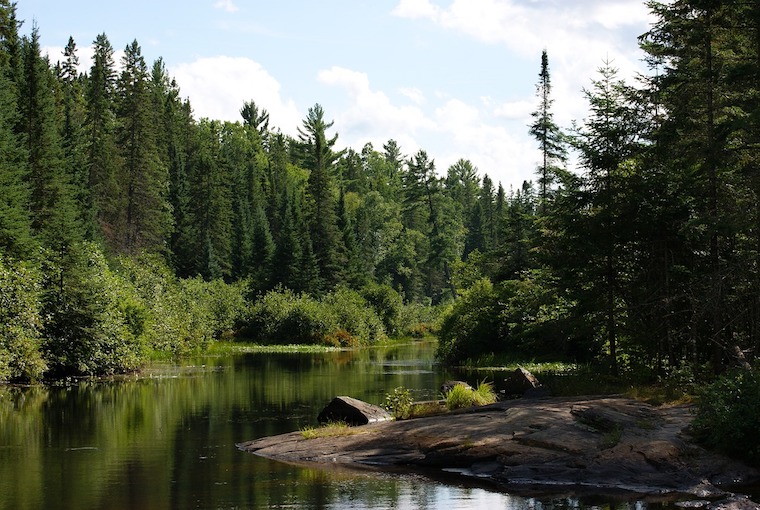 Algonquin National Park