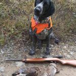 Carmen Detweiler sent in this shot of her dog Maple, a naturally talented hunter, after taking her first grouse.