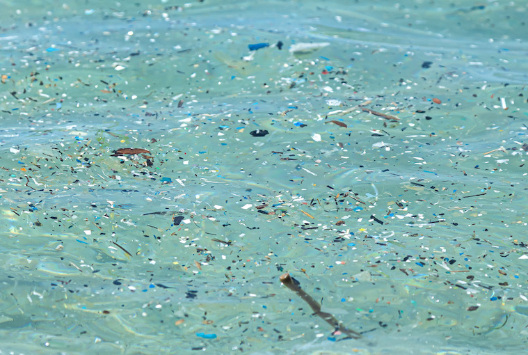 Microplastics problem continues to grow - Ontario OUT of DOORS