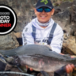 Photo Friday winner Andrew Yeung of Toronto. He lucked out by catching this beautiful male pink salmon with gorgeous spawning colours resembling a coho salmon.