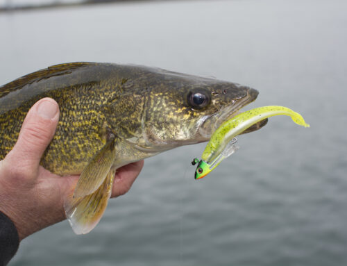 Pounding the floor for walleye