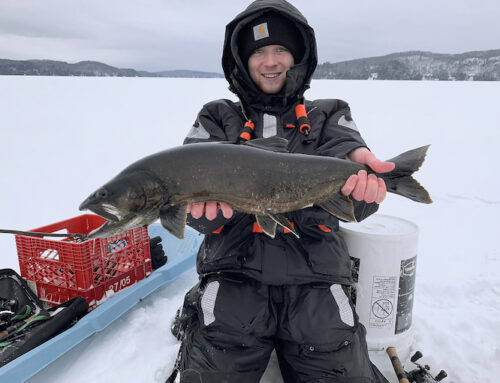 Ask an expert: Why is this lake trout so darkly coloured?