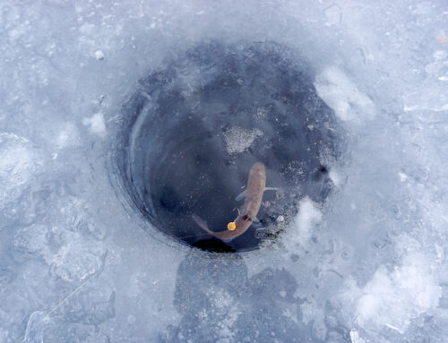 Ice fishing for steelhead