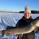 Laura Brick was ice fishing when she hooked this beauty on a pink-and-white jig. It was released.