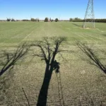 Colin Gregory of Chatham captured his shadow from his tree stand during bow season back in November.