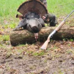 Crosley Lippert of Tesswater, 13, was out hunting with his dad when he harvested his first bird. The tom was 24 pounds.