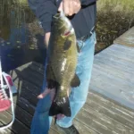 Mark Bamber of Bolton caught his personal best smallmouth.