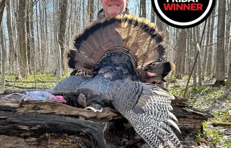 Photo Friday winner Rob Clifford of Severn was enjoying a beautiful opening morning when a gobbler arrived at his set-up on a local farm a few hours after sunrise.