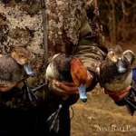 Taylor Blay of Omemee shows three red-headed ducks who were banded during a Fleming College Delta Waterfowl Club field trip to Burlington, as part of waterfowl conservation efforts.