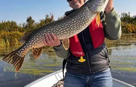 Taylor Sobchuk of Red Lake was spending the day at Trout River Lodge walleye fishing with Dad when this pike was hooked unexpectedly.