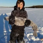 Tyson Kan of Mckenzie Island submitted this photo of eight-year-old son, Taimen who was able to hook a 33-inch burbot, 38-inch northern pike, and more on the same day. Dad was very proud.