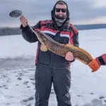 Kody Brekelmans of Beachville caught a 34-inch burbot through the ice on a ¼-oz pink-and-white jig head with a minnow.