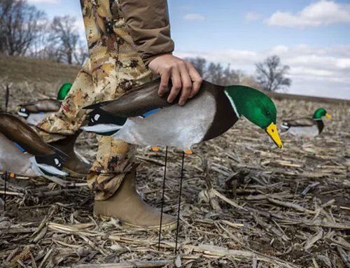 The skinny on silhouette decoys