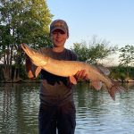 Case Van Bastelaar of Wallaceburg caught this muskie from shore behind his house on the Sydenham River on May 25 using a worm on a hook while targeting catfish.