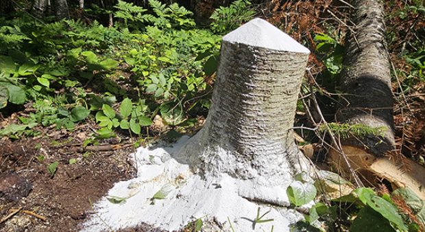 mineral stump for deer