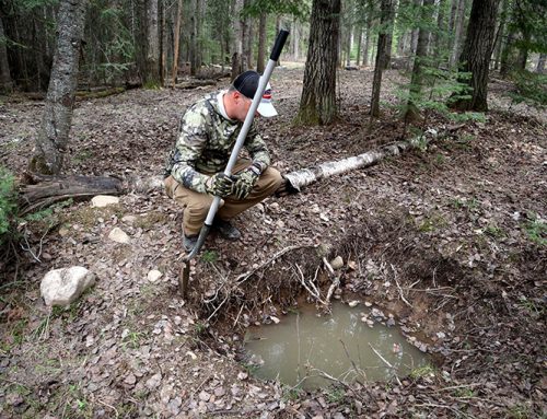 Creating a watering hole