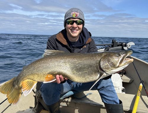 A brief history of the Great Lakes lake trout collapse