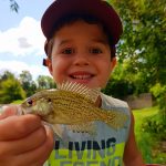 Mike Lippert of Wellesley was fishing at the Wellesley Mill Pond when his son, Simon, landed a little rock bass.