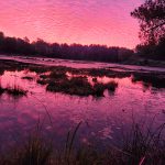 Gavin Trudeau of Severn snapped an early-morning sunrise at the Swift Rapids at Lock 43 of the Trent-Severn Waterway.