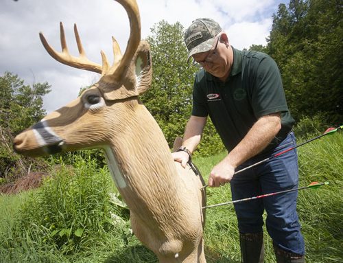 On ground blinds and tree stands