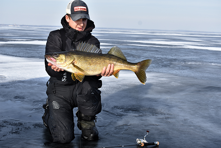 Bay of Quinte walleye