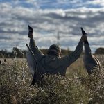 Jake Granger of Hamilton retrieving birds from the field in WMU 89B.