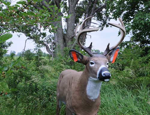 DIY: Building a better decoy