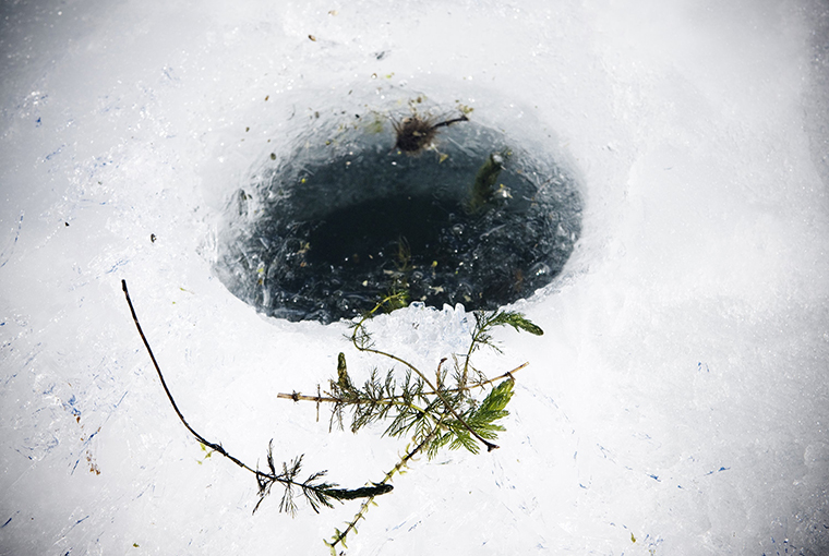 ice fishing vegetation hole