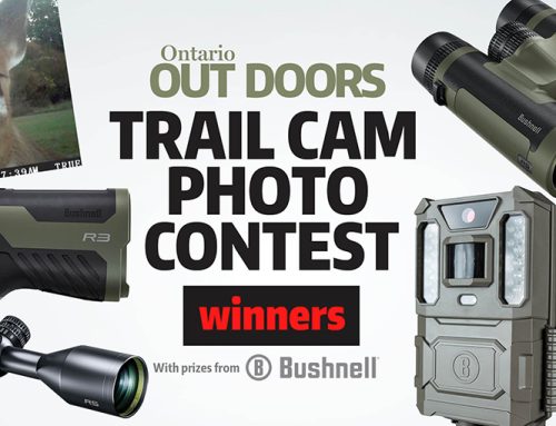 Trail Cam Photo Contest 2024 winners