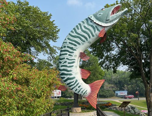 Muskie: The fish of 10,000 casts