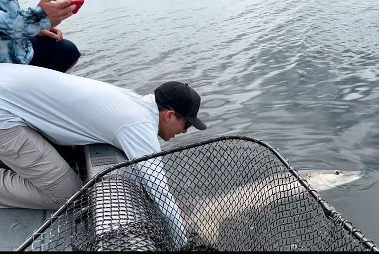 owen schonberger muskie release