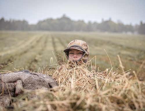 Five stages of waterfowlers