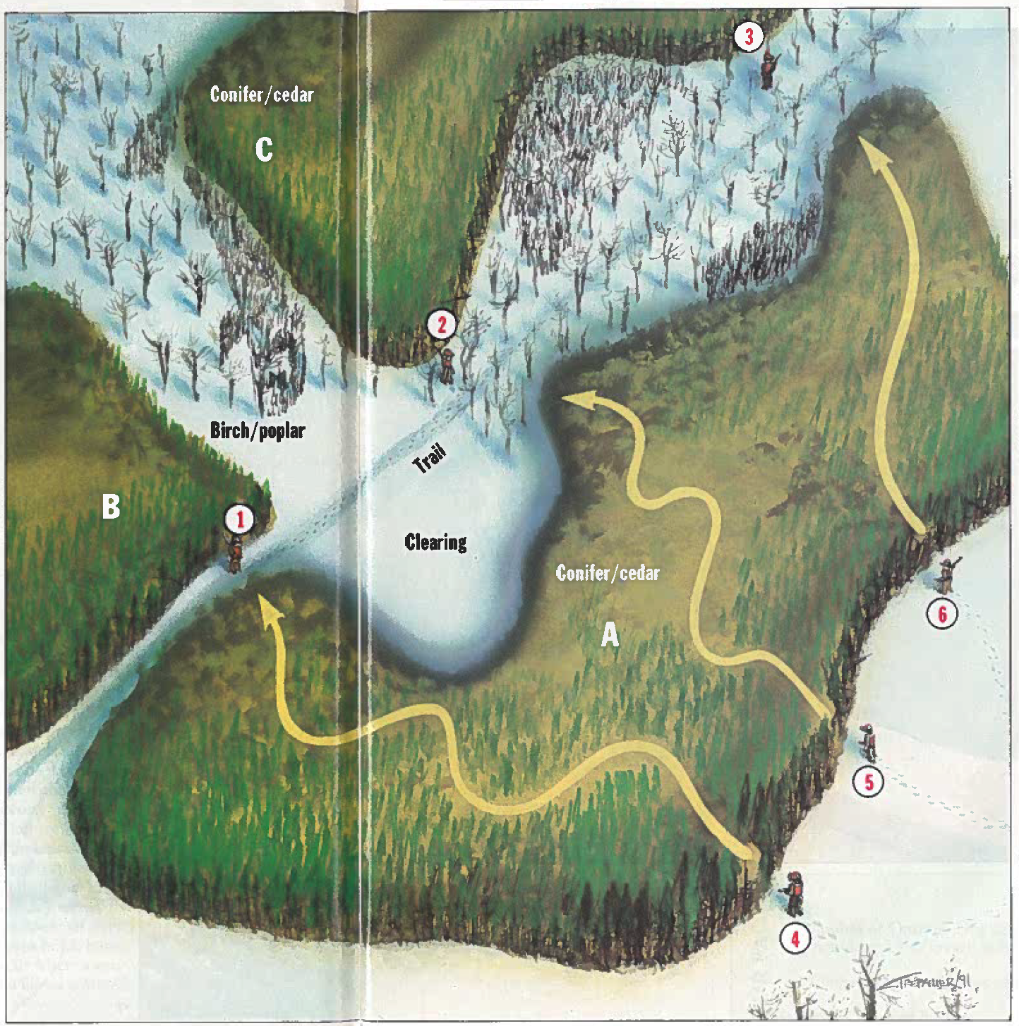 driving snowshoes diagram