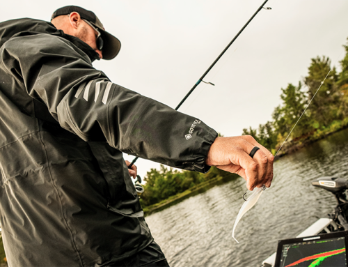 Top forward-facing sonar baits