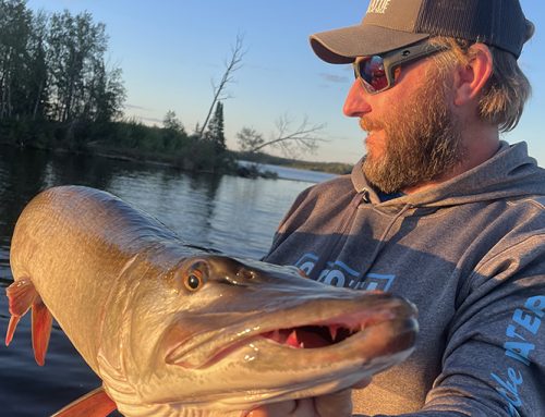 Praising rubber muskie baits