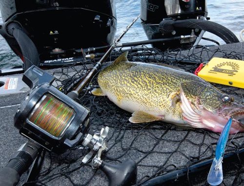 Trolling lead core for walleye